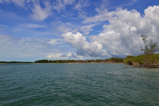 The T-Curve Revolution Bluewater Travel LT Spin 703 matched up with a Saragosa SW 5000 spinning reel proved the ideal set up for casting lures to medium-sized pelagics such as this Kimberley queenfish.